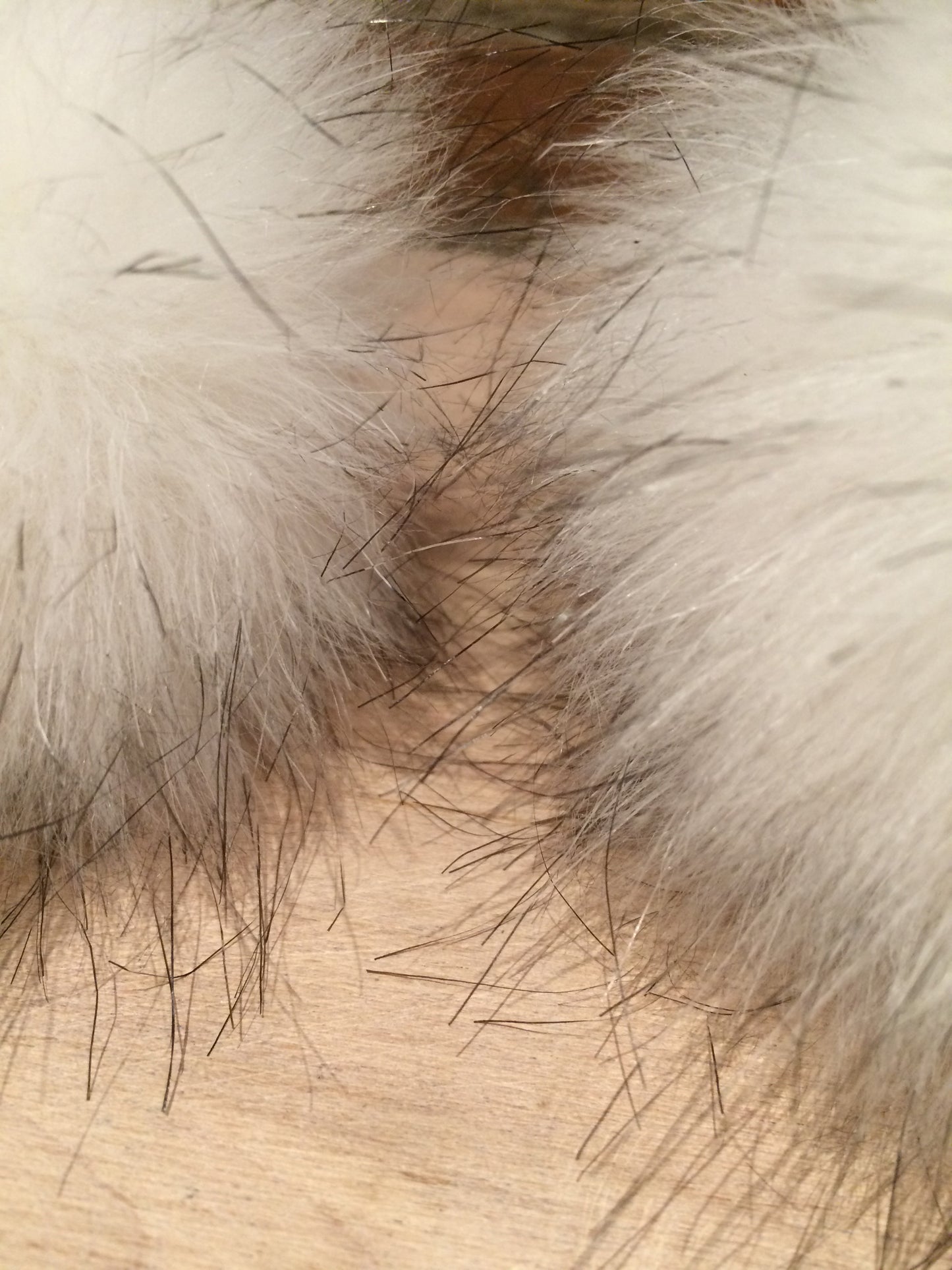 Blue Fox White Faux Fur Pom, 5 Inch