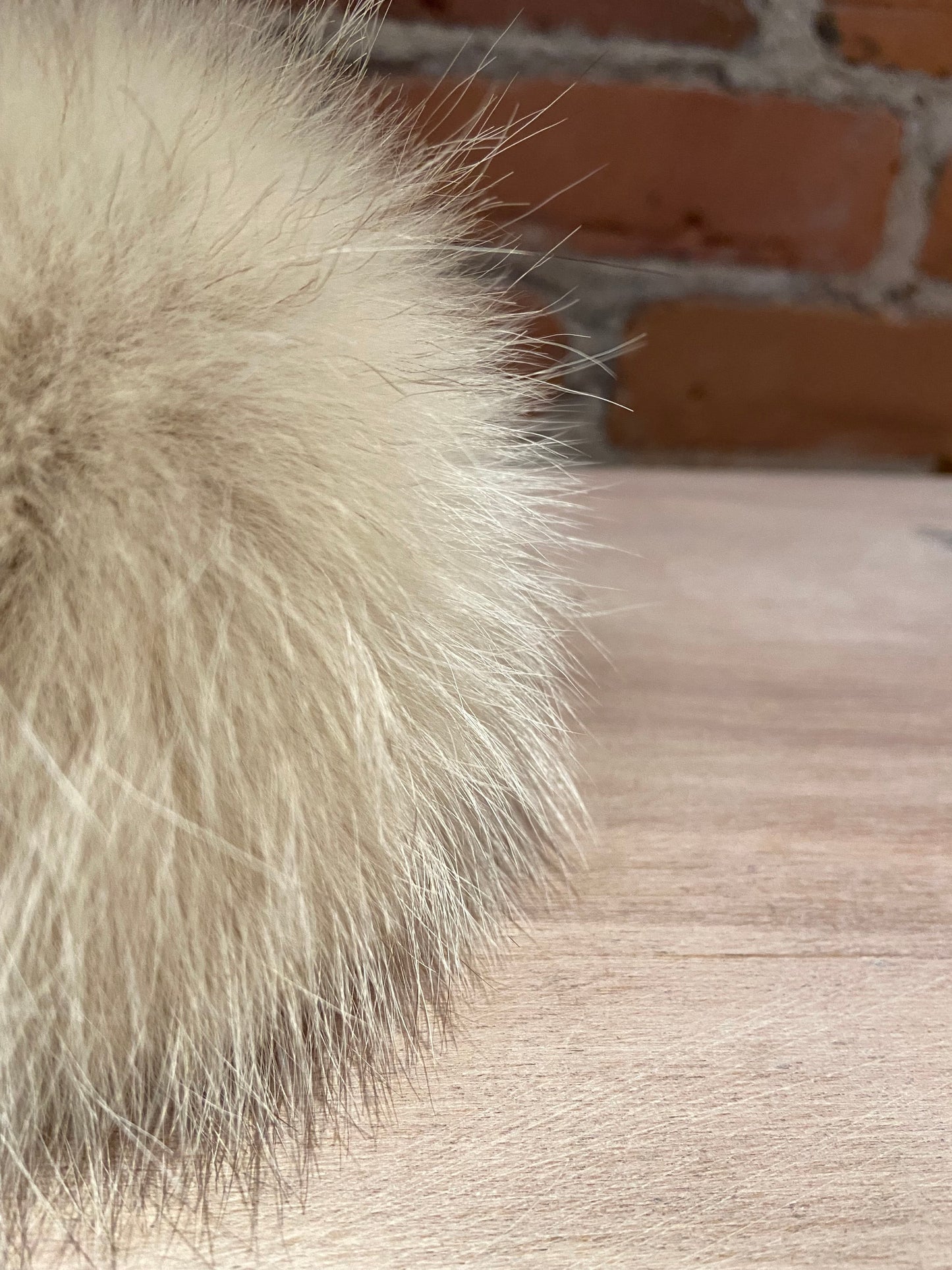 Golden Blonde Beige Coyote Fur Pom, 5 Inch