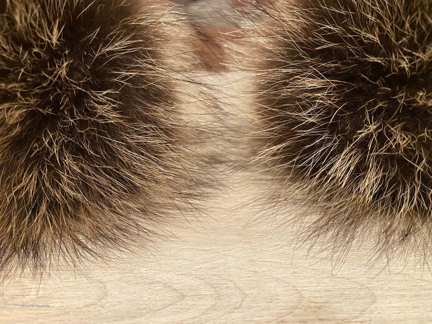 Golden Brown Raccoon Pom, 4 Inch