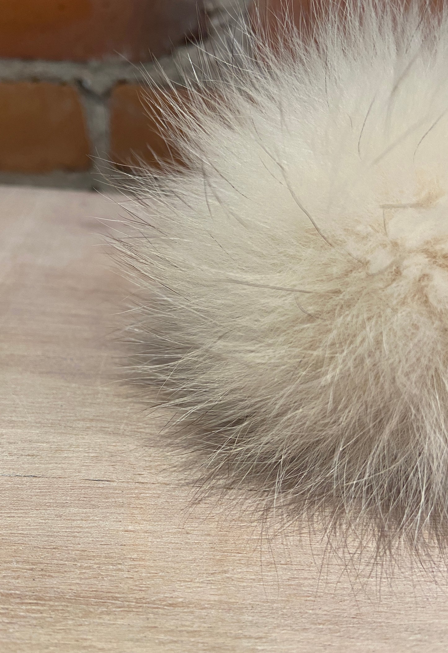 Custard Cream Fox Fur Pom, 3.5 Inch