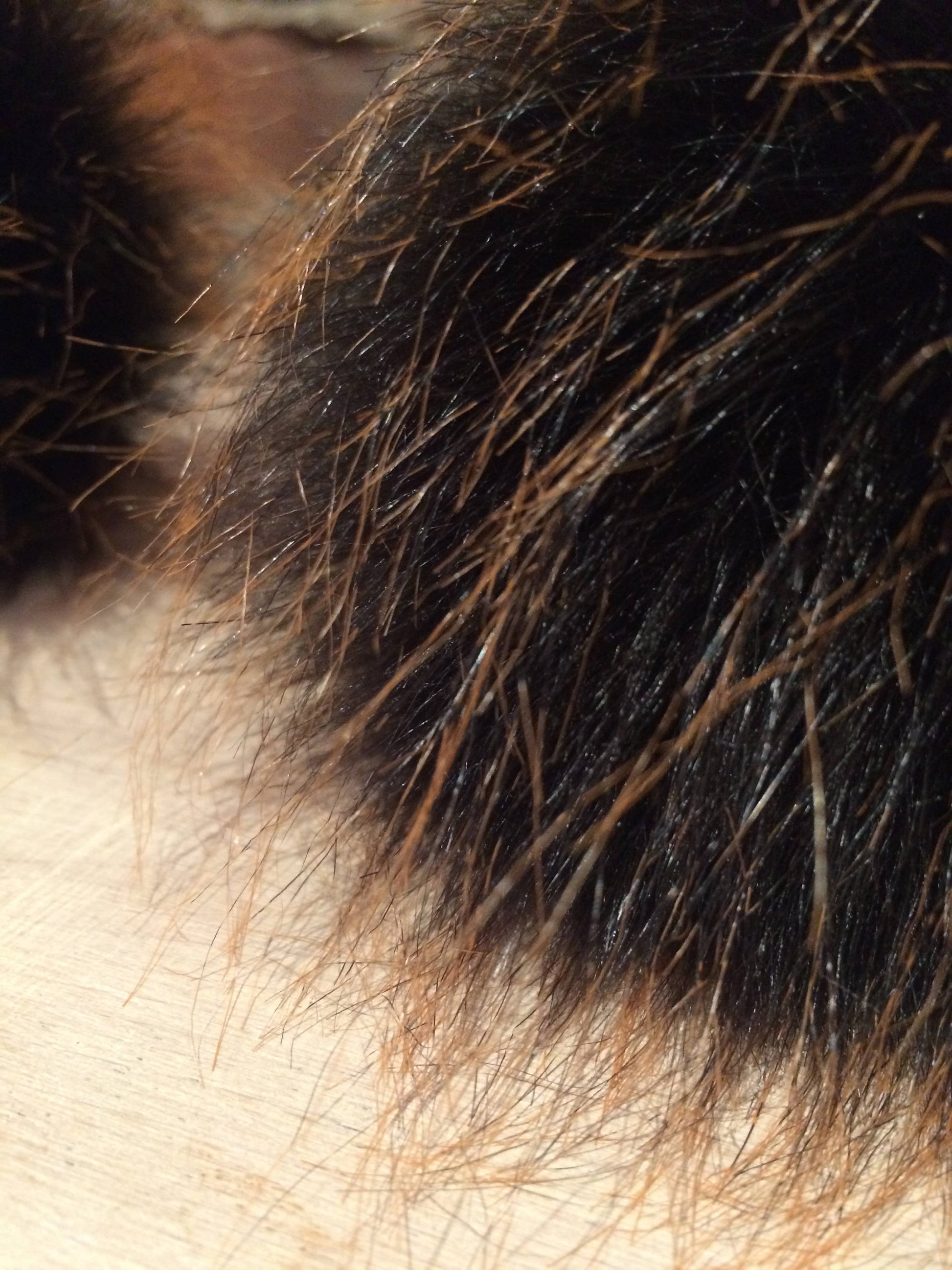 Black and Copper Pom Pom Close Up Detail