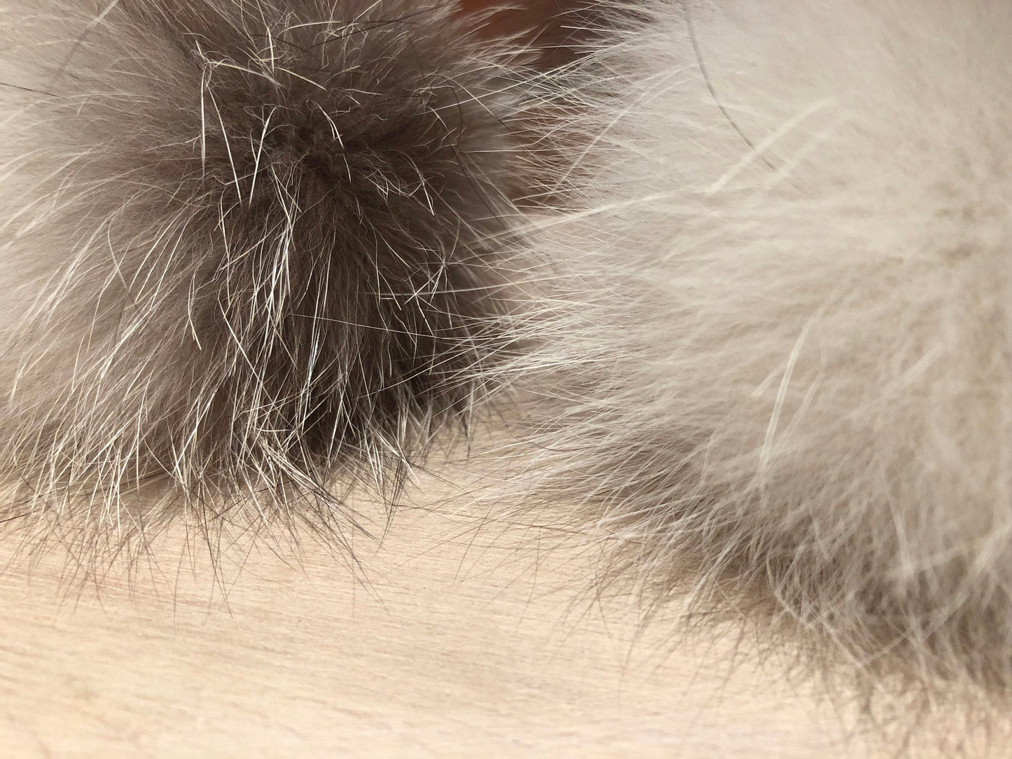 Platinum Arctic Shadow Fox Fur Pom, 3.5 Inch